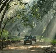 Jim Corbett